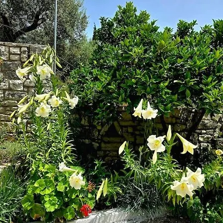 Studio Artik Retreat 2 Himarë