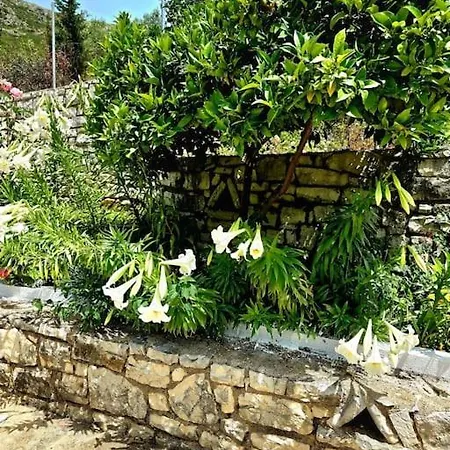 Studio Artik Retreat 2 Himarë